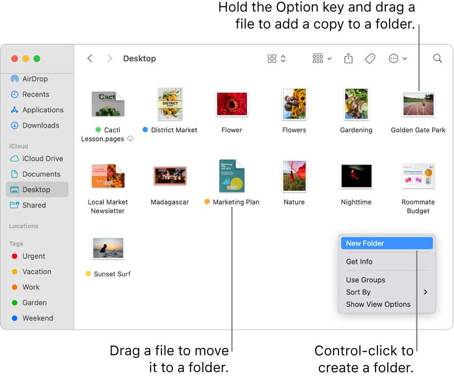 How To Organize Desktop And Files On A Macbook For Better Efficiency