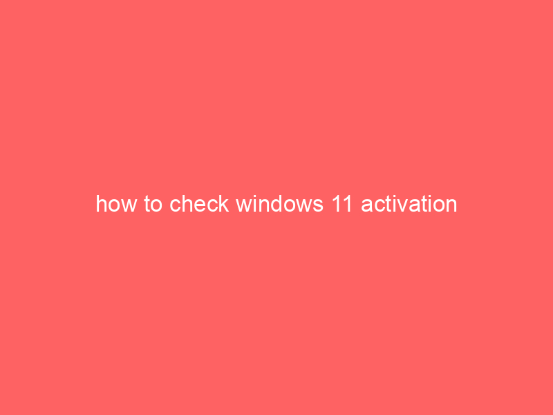 how to check windows 11 activation