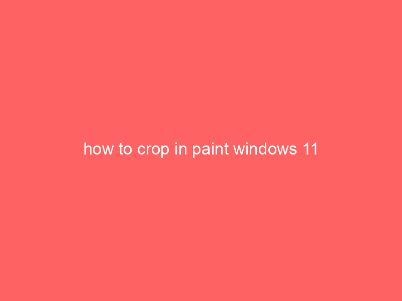 how to crop in paint windows 11