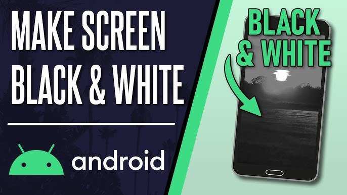 How To Make Your Screen Black And White Android In Easy Steps