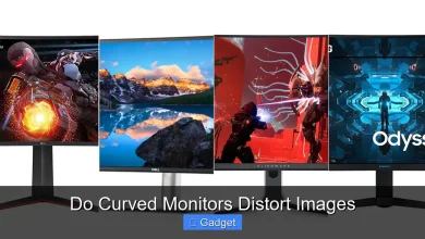 Do Curved Monitors Distort Images