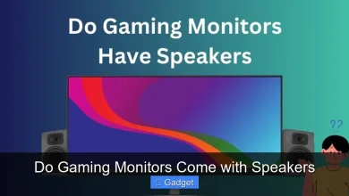 Do Gaming Monitors Come with Speakers