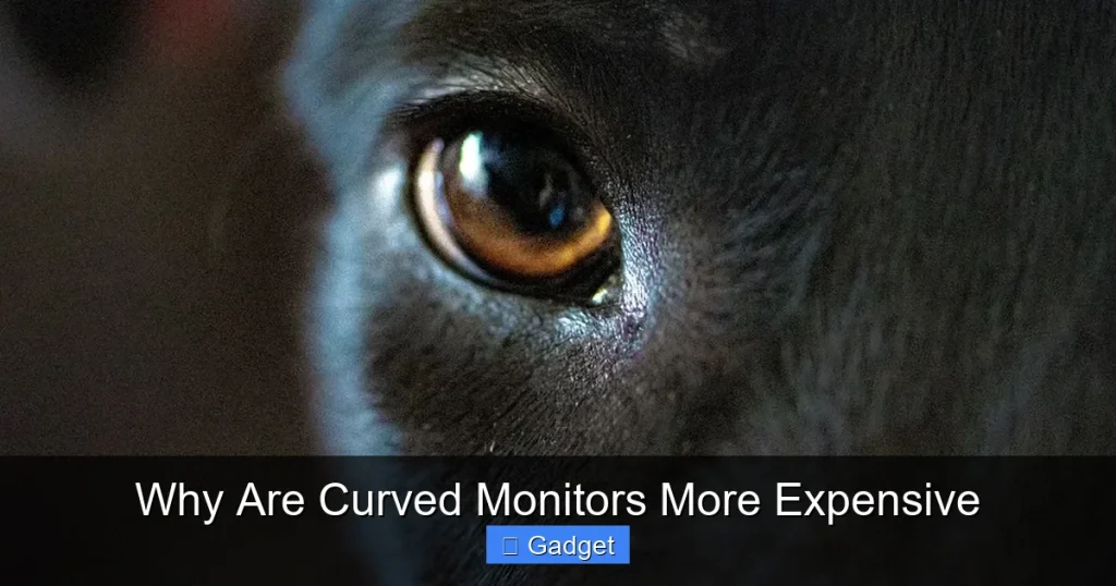 Why Are Curved Monitors More Expensive