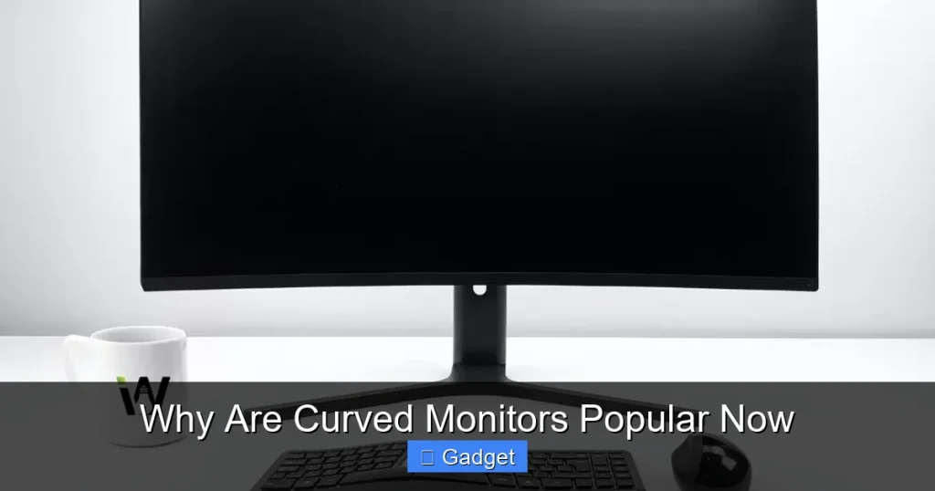 Why Are Curved Monitors Popular Now