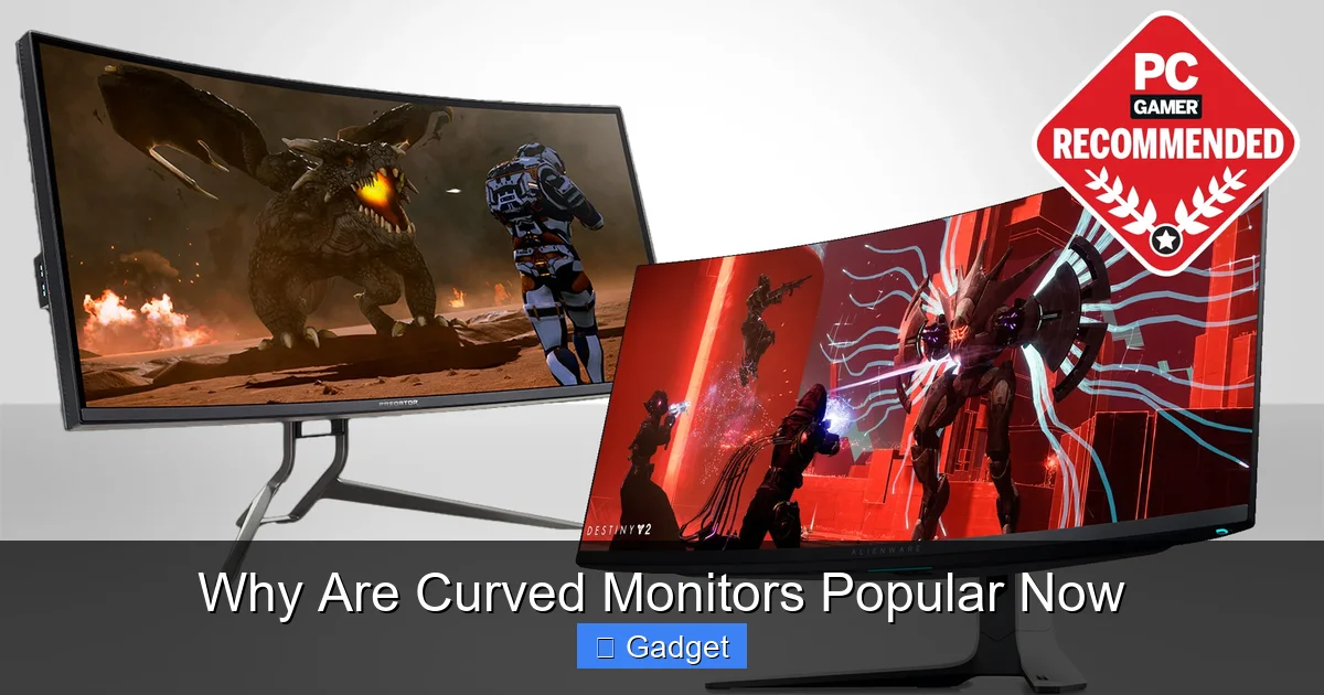 Why Are Curved Monitors Popular Now