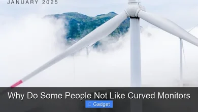 Why Do Some People Not Like Curved Monitors