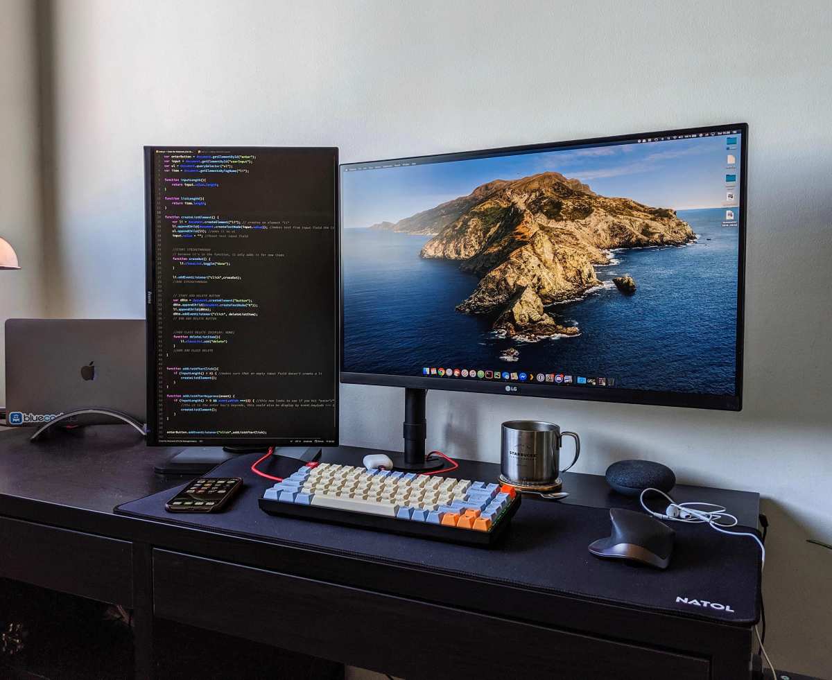 Are Budget Monitors Good for Programming