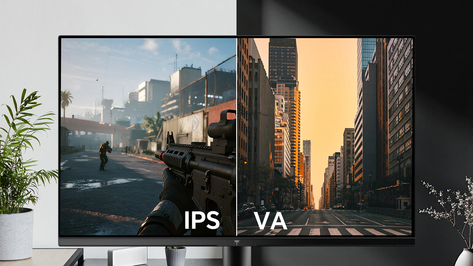 curved monitor IPS vs VA side by side comparison