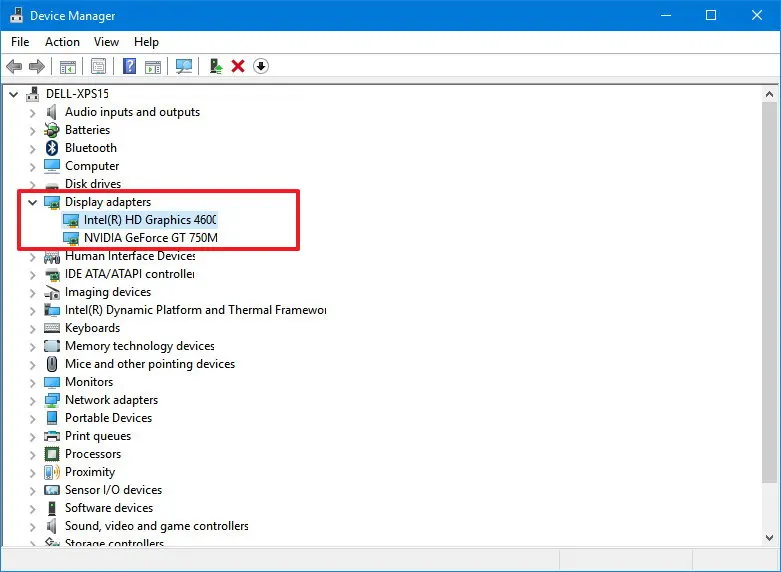 Device Manager display adapter driver update