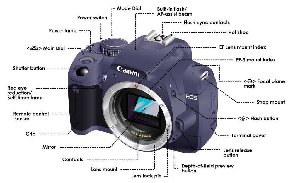 DSLR reflex mirror mechanism