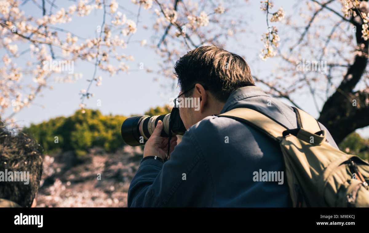 DSLR viewfinder