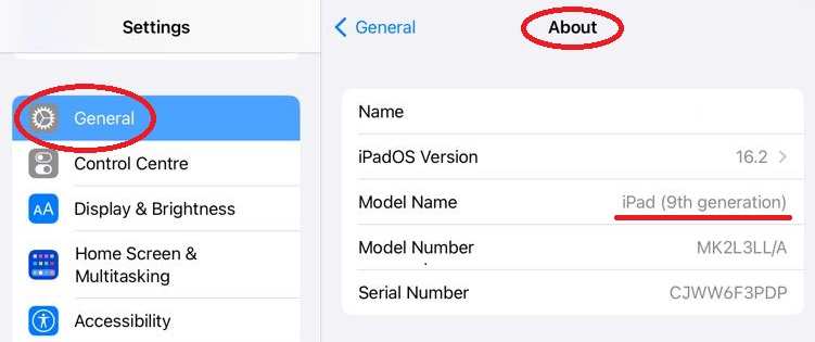 iPad model identification settings