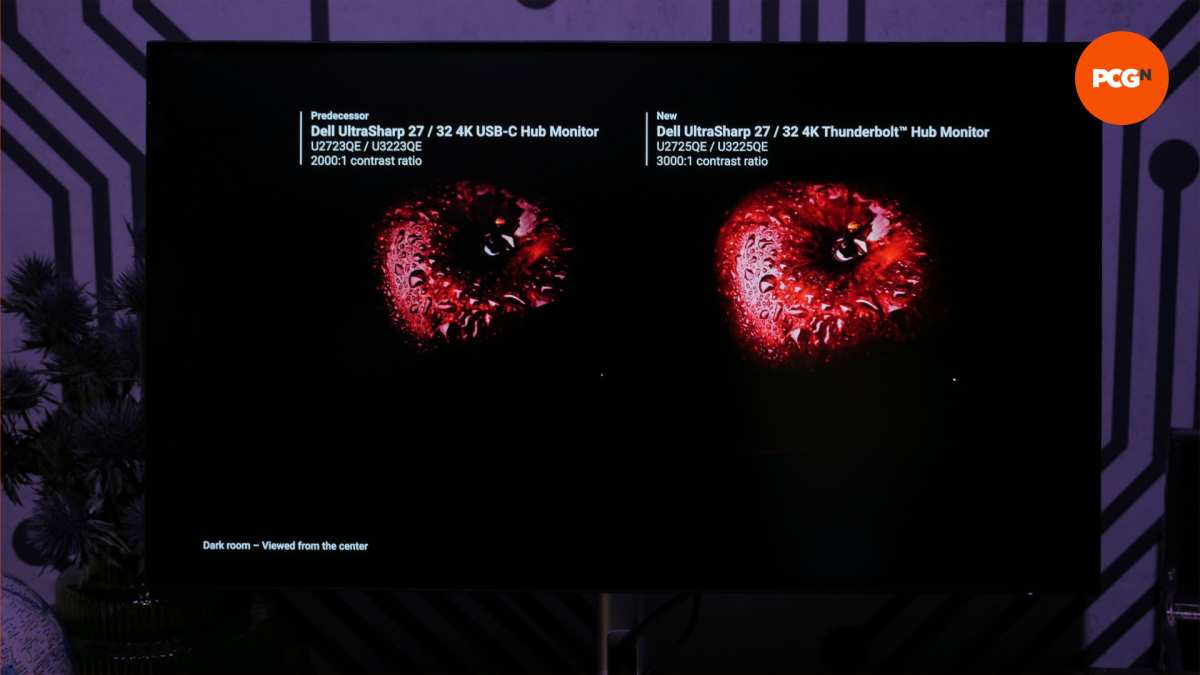 IPS monitor backlight bleed