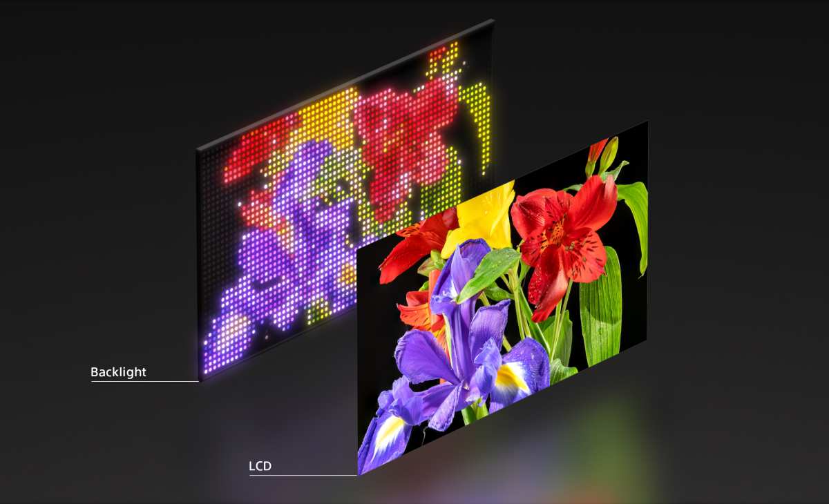 Mini-LED monitor vs OLED comparison