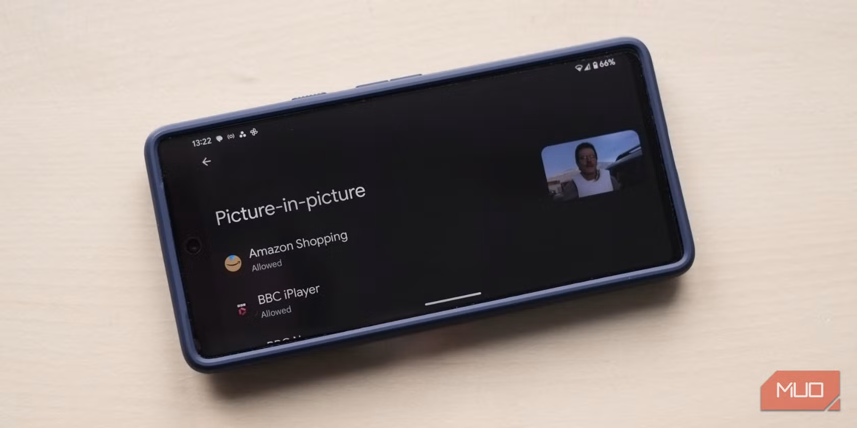 picture in picture diagram