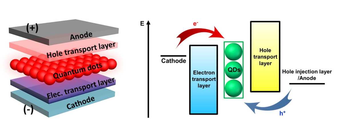 QLED quantum dot layer