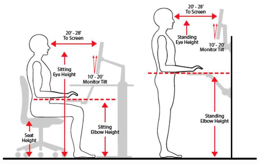 seated eye height measurement for monitor positioning
