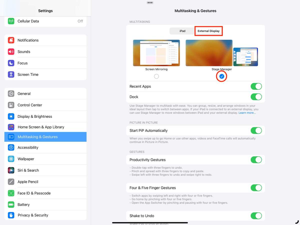 Stage Manager external display iPad