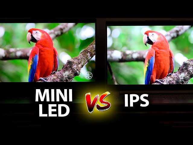 is mini led better than ips for photography