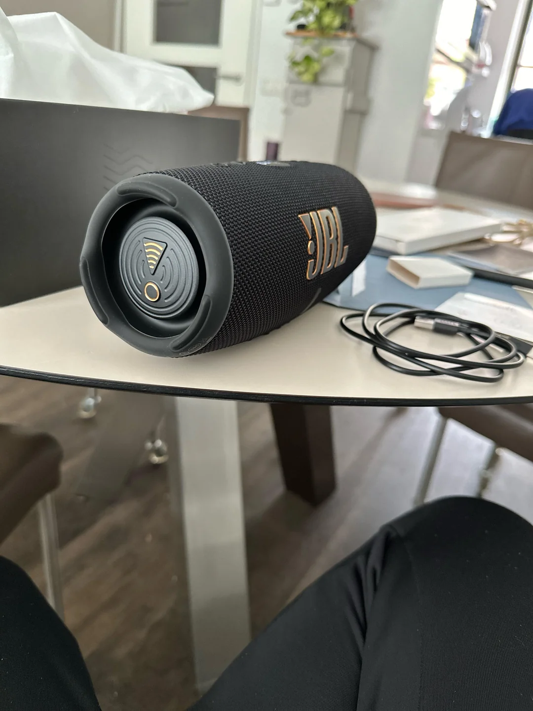 speaker drying upside down