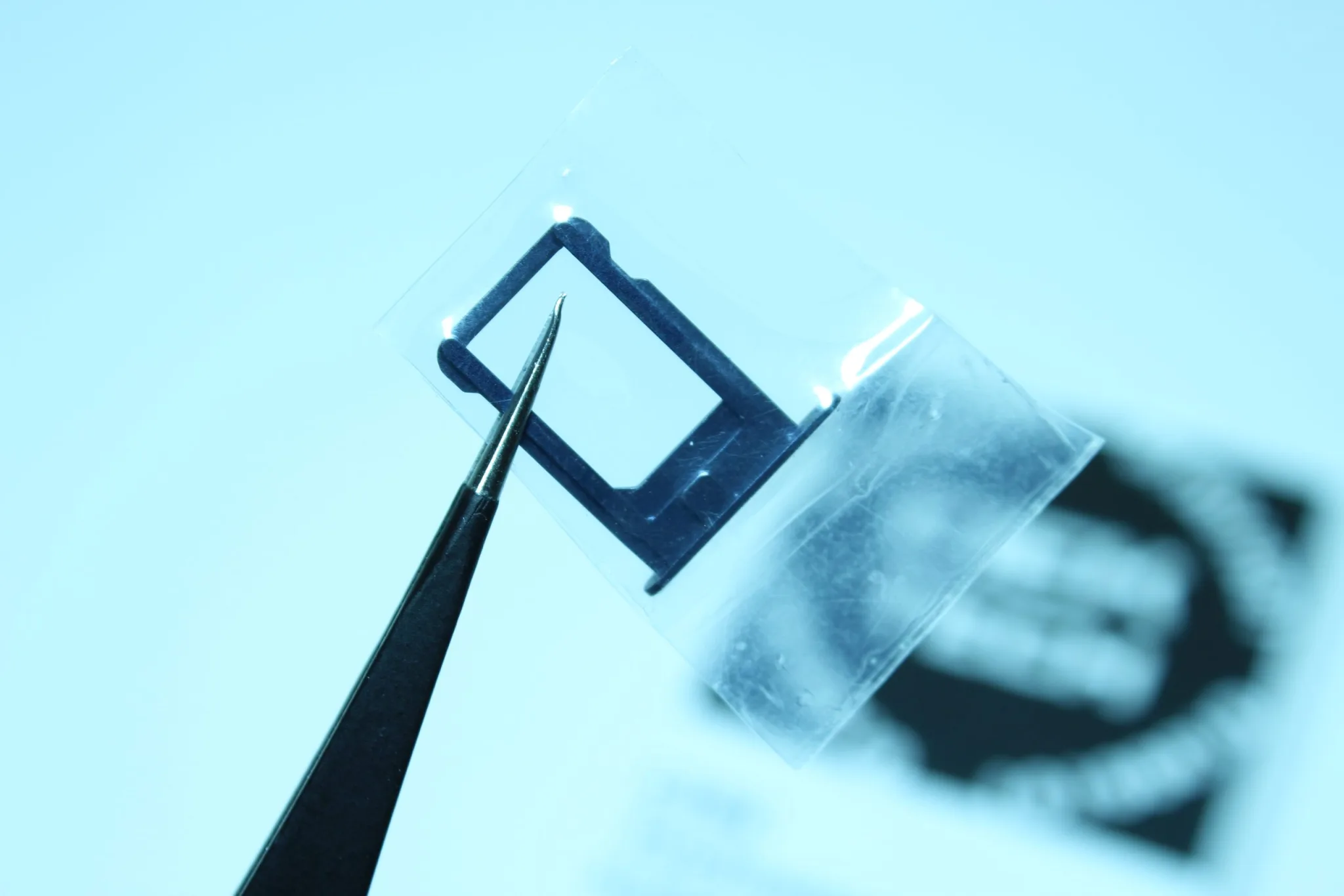 SIM card